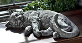 Photo of Campania Dreaming Kitty - Exclusively Campania